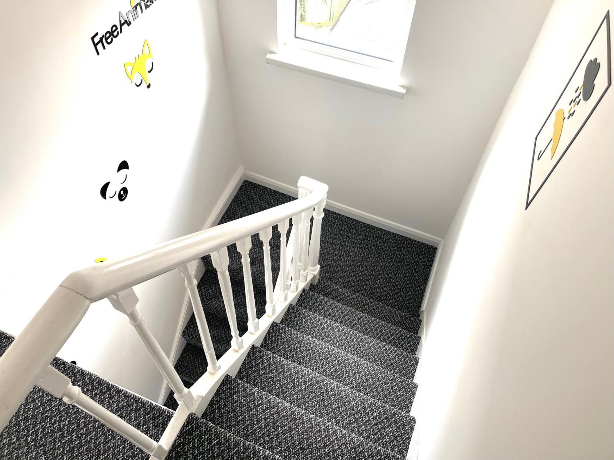 Entire Yellowapt Near Belfast City Centre - Free Parking - Up To 3 Guests - 2 Beds Buitenkant foto